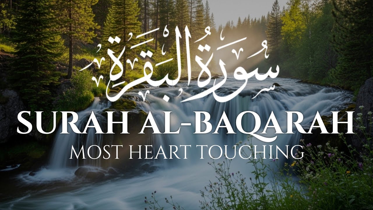 Surah Al-Baqarah Full | Complete Tilawat | Peaceful & Heart Touching Recitation