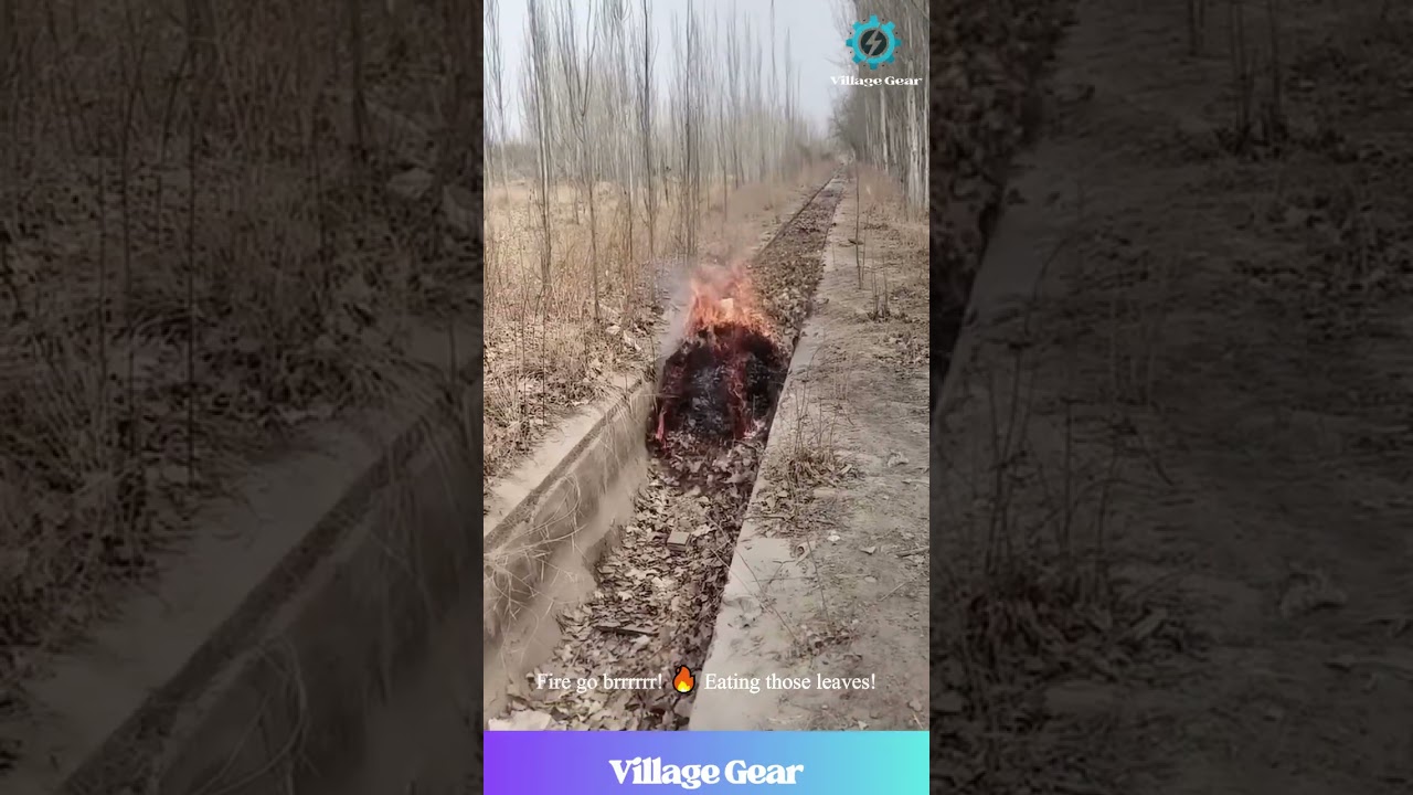 DITCH ON FIRE! 🔥 Dangerous Practice or Genius Cleaning Hack?! #fire #danger #viral #shocking