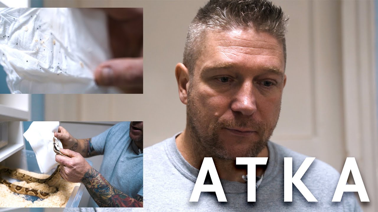 ATKÁS A KÍGYÓM! Mit tegyek?