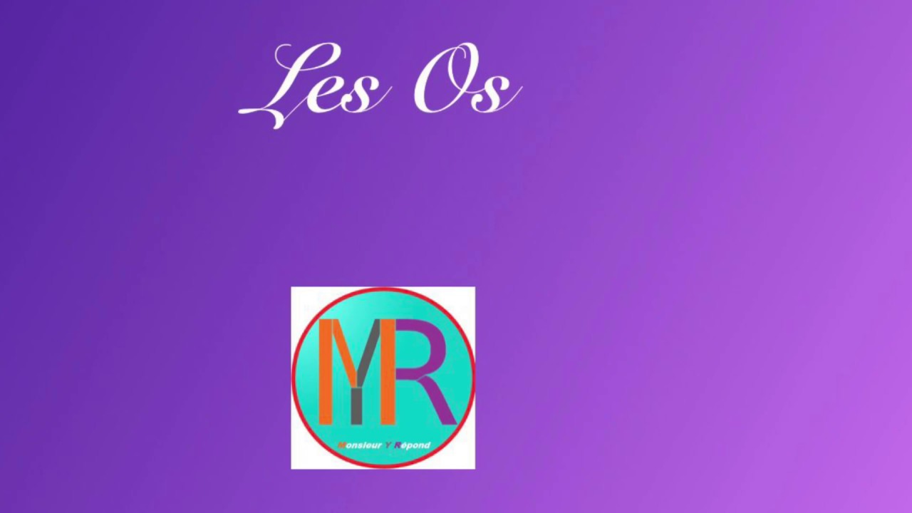 Les os