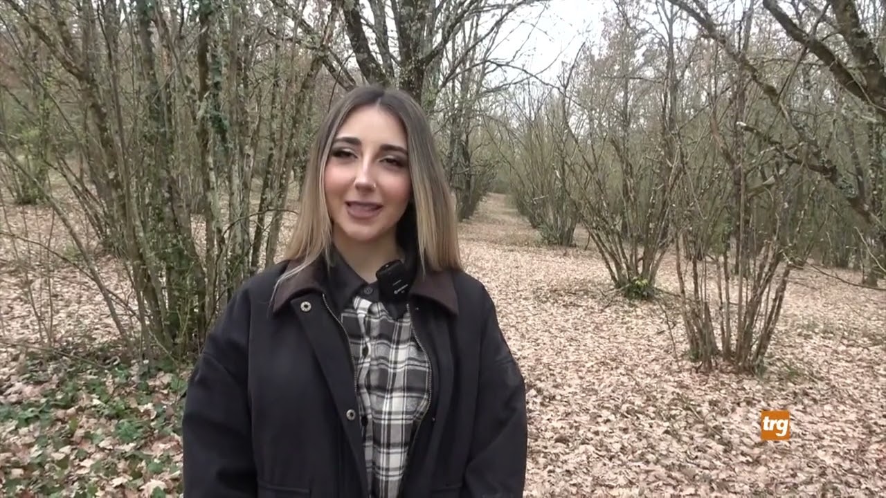 Città di Castello e Alba legate in nome della Truffle Experience