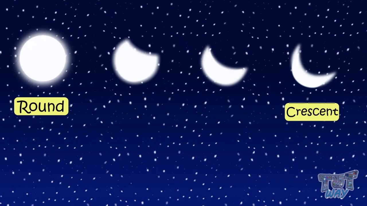 Wonders of the Sky | Science | Grade-1,2 | TutWay |