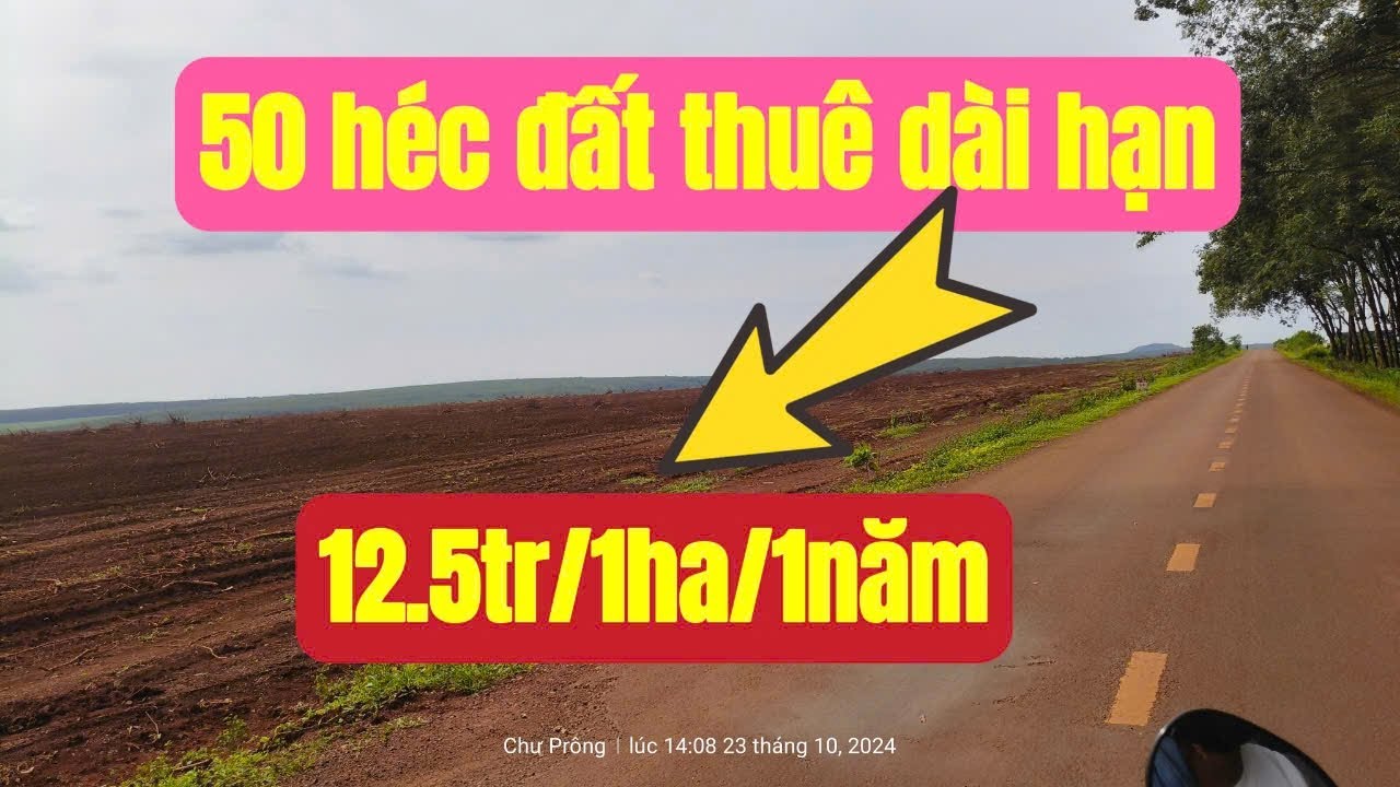 Đất n&ocirc;ng nghiệp cho thu&ecirc; 50 h&eacute;c gi&aacute; rẻ, trồng chuối, hoa m&agrave;u.