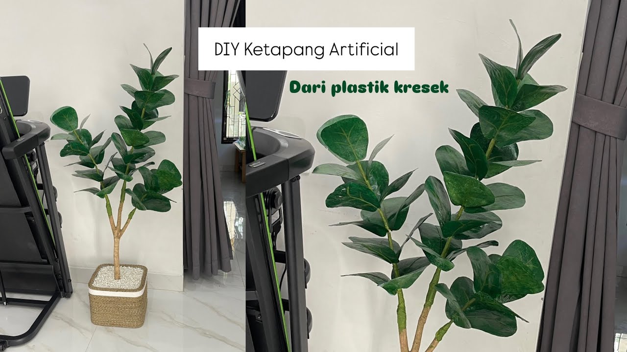 DIY membuat ketapang artificial dari plastik kresek