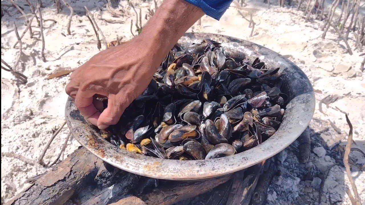 TIRADA DE SURURU DE PASTA E SARNAMBI NOS LAVADOS DE RAPOSA.