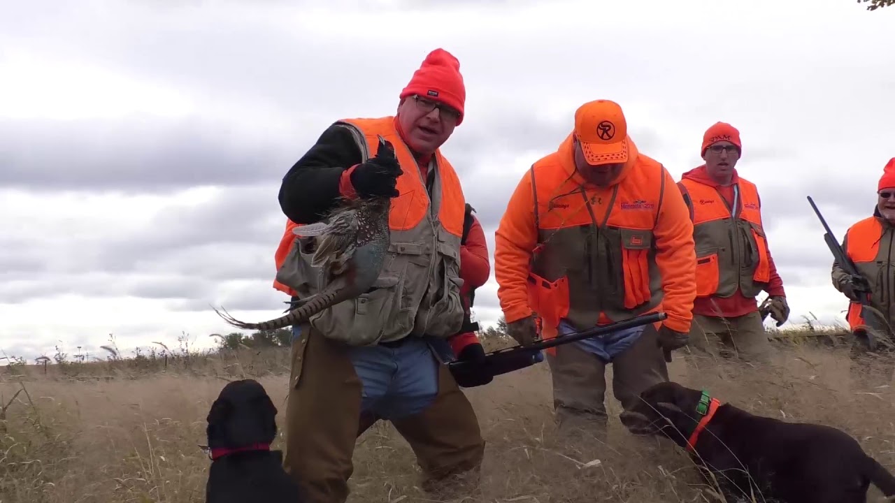 Governor Walz has successful Pheasant Hunt