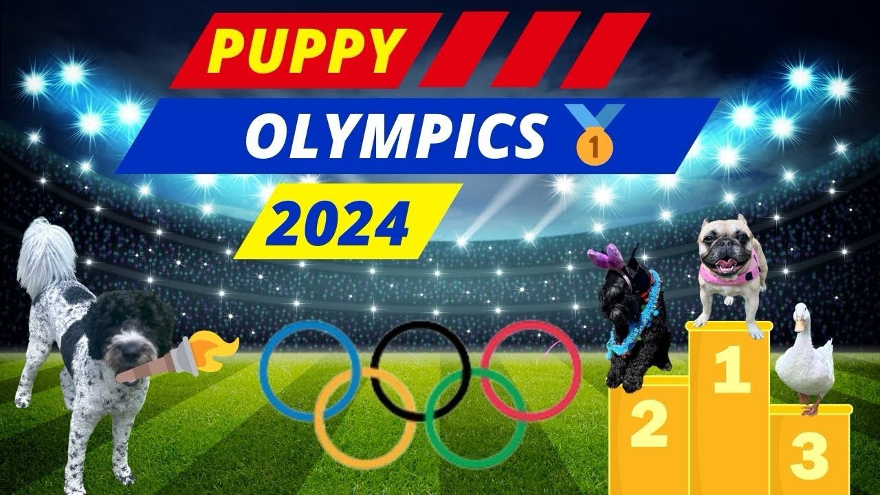 Puppy Olympics : Best Moments & Highlights | Puppy Olympics 2024