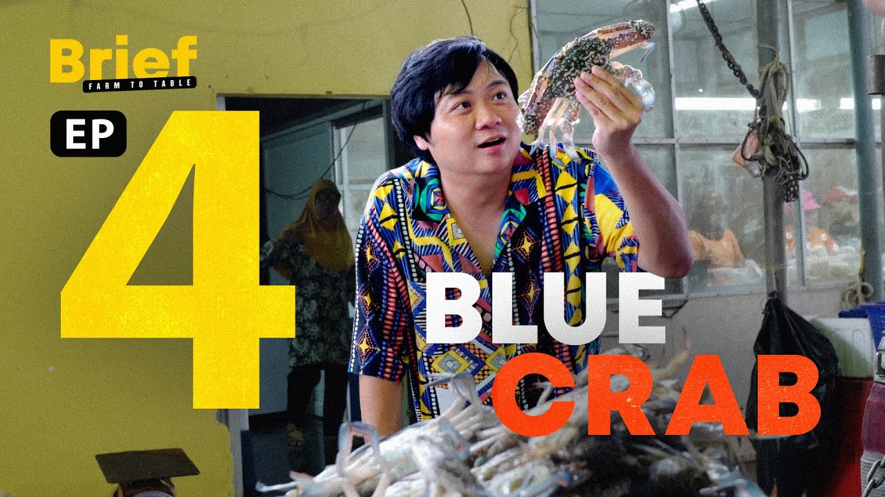 EP.4 Blue Crab l Brief: Farm to Table