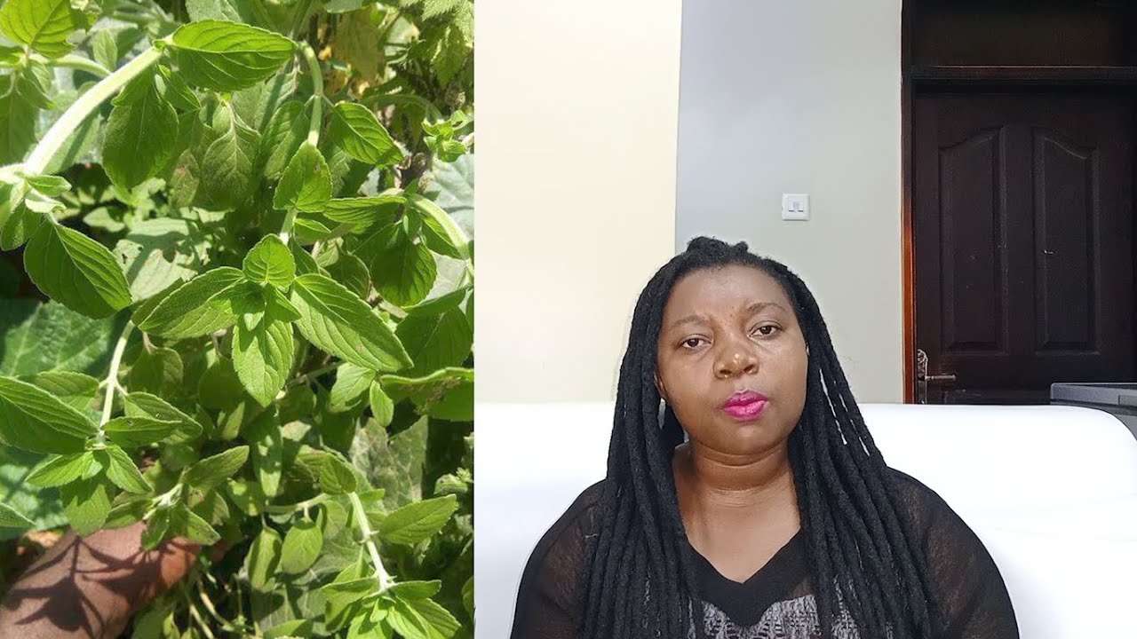 Eddagala Lye Mikisa Lirino Likolerawo