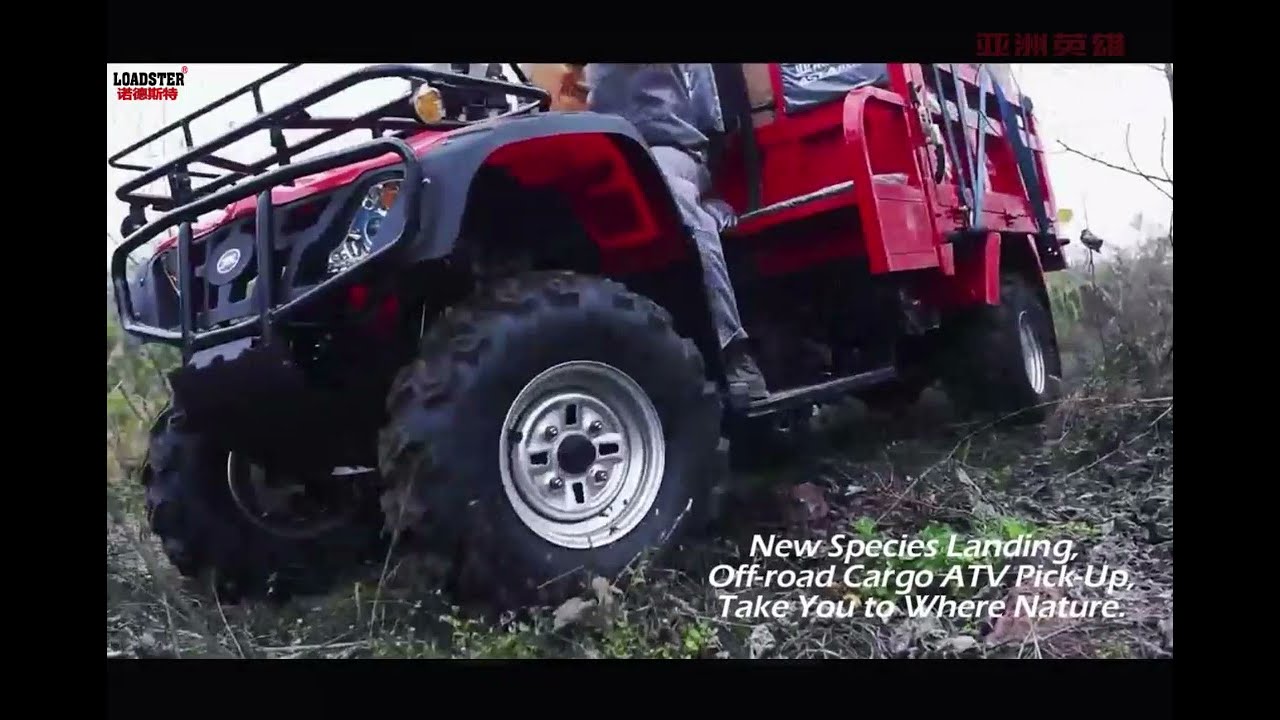 Loadster Cargo ATV Pick up LD250ZH ATV