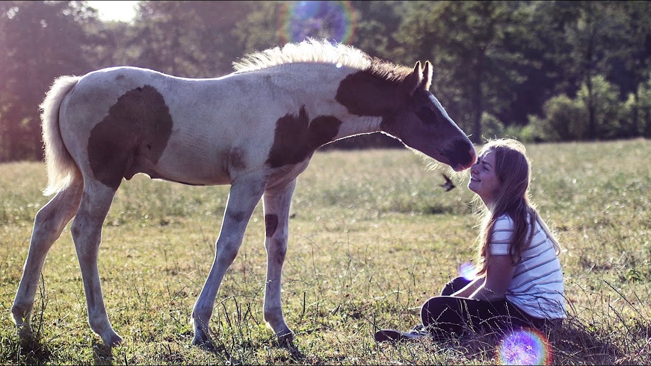 RC het Fjordenpaard week 1 2018 | Karlijn