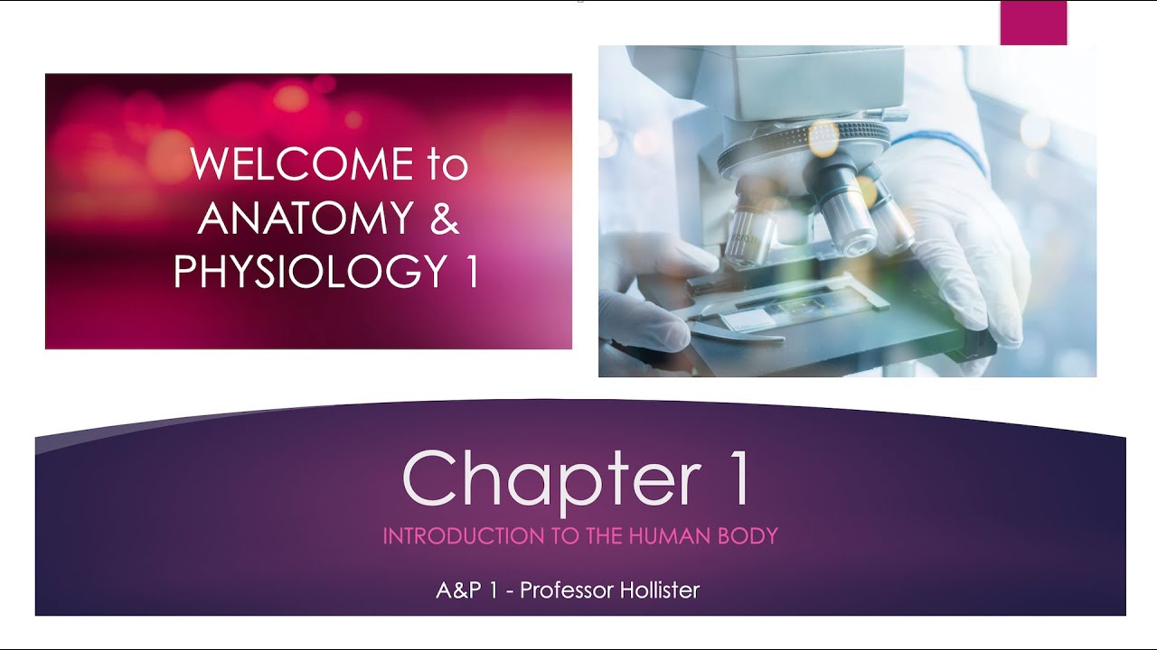 Chapter 1