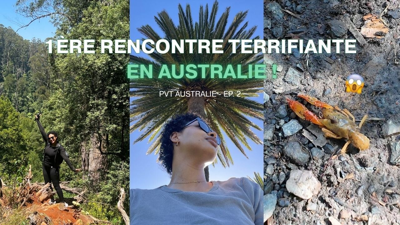 Melbourne: Ma première rando... Il marche sur SCORPION ! | PVT Australie - Ep2