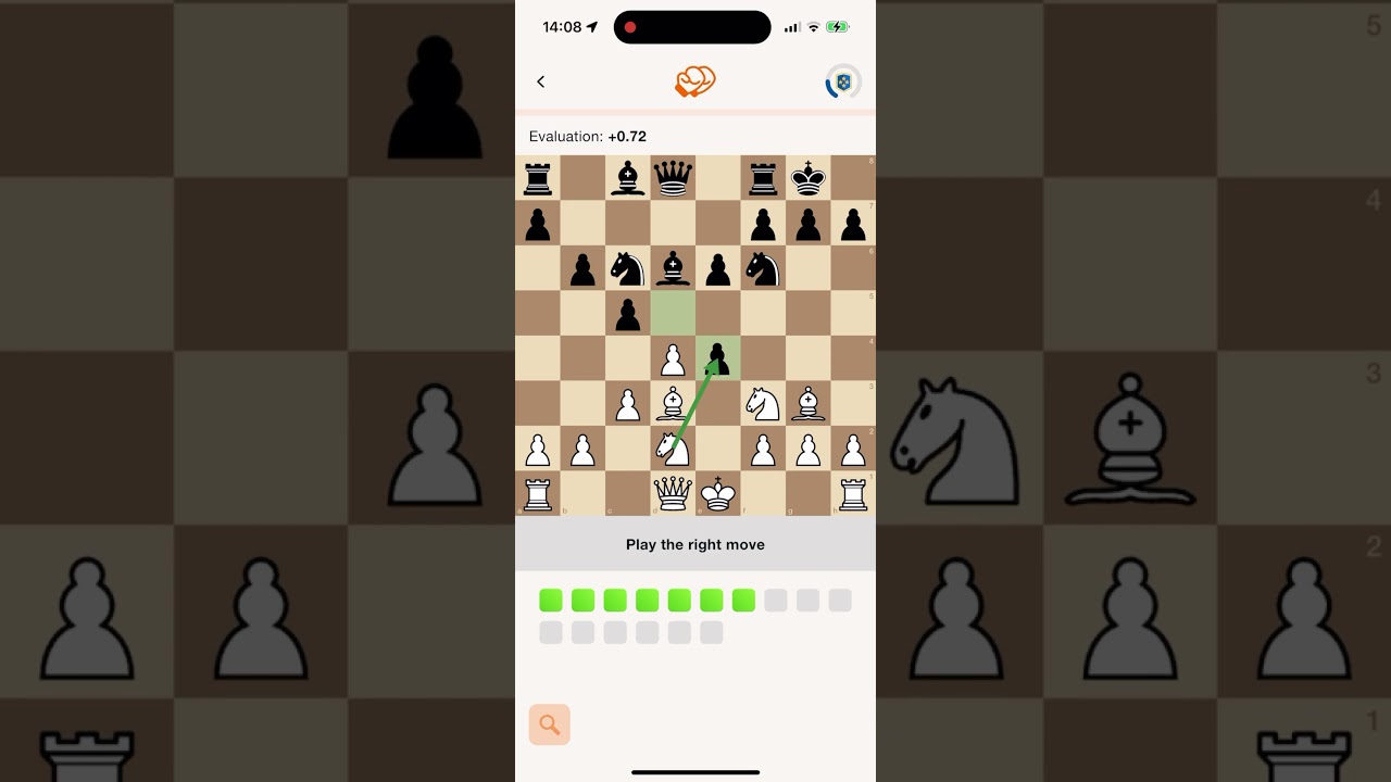 Lotus Chess Spotlight