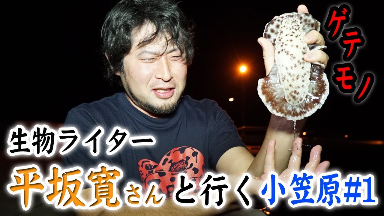 生物ライター・平坂さんと行く小笠原旅#1〜ウミウシを生でいただく〜