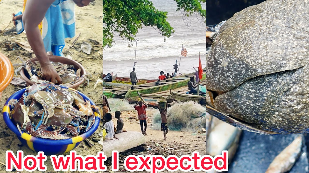 Fishing in Liberia unbelievable see what they caught at sea