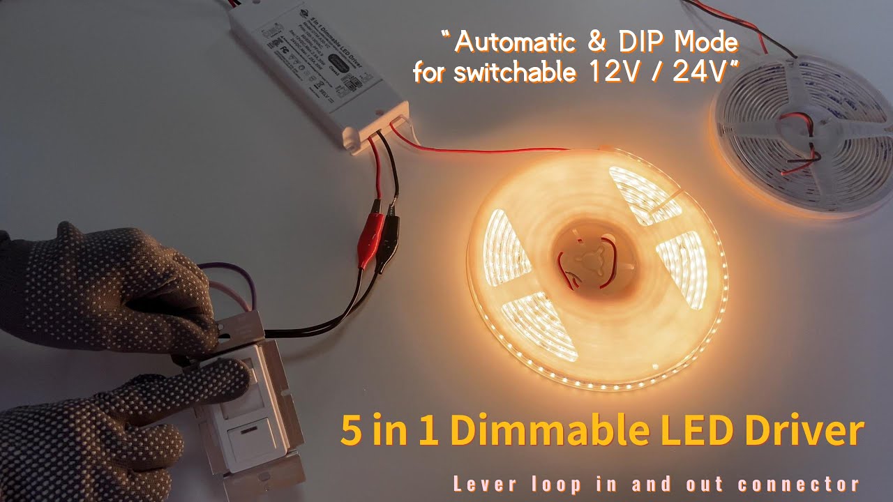 The Ultimate 5-in-1 Dimmable Driver | 12V/24V Auto & DIP Switch Demo