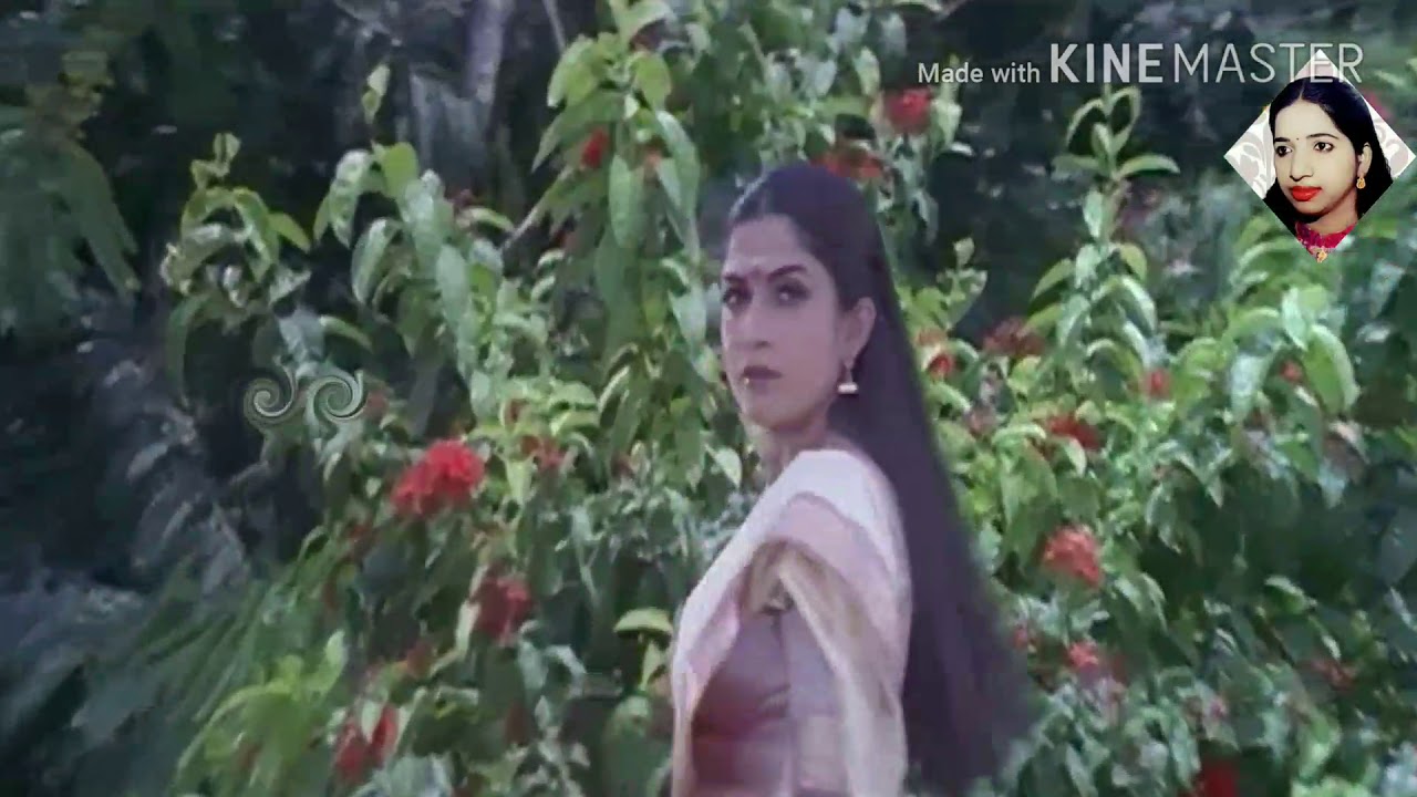 Pachche Gili Song || Sri Kalikamba Kannada movie Songs || Swarnalatha Kannada Song