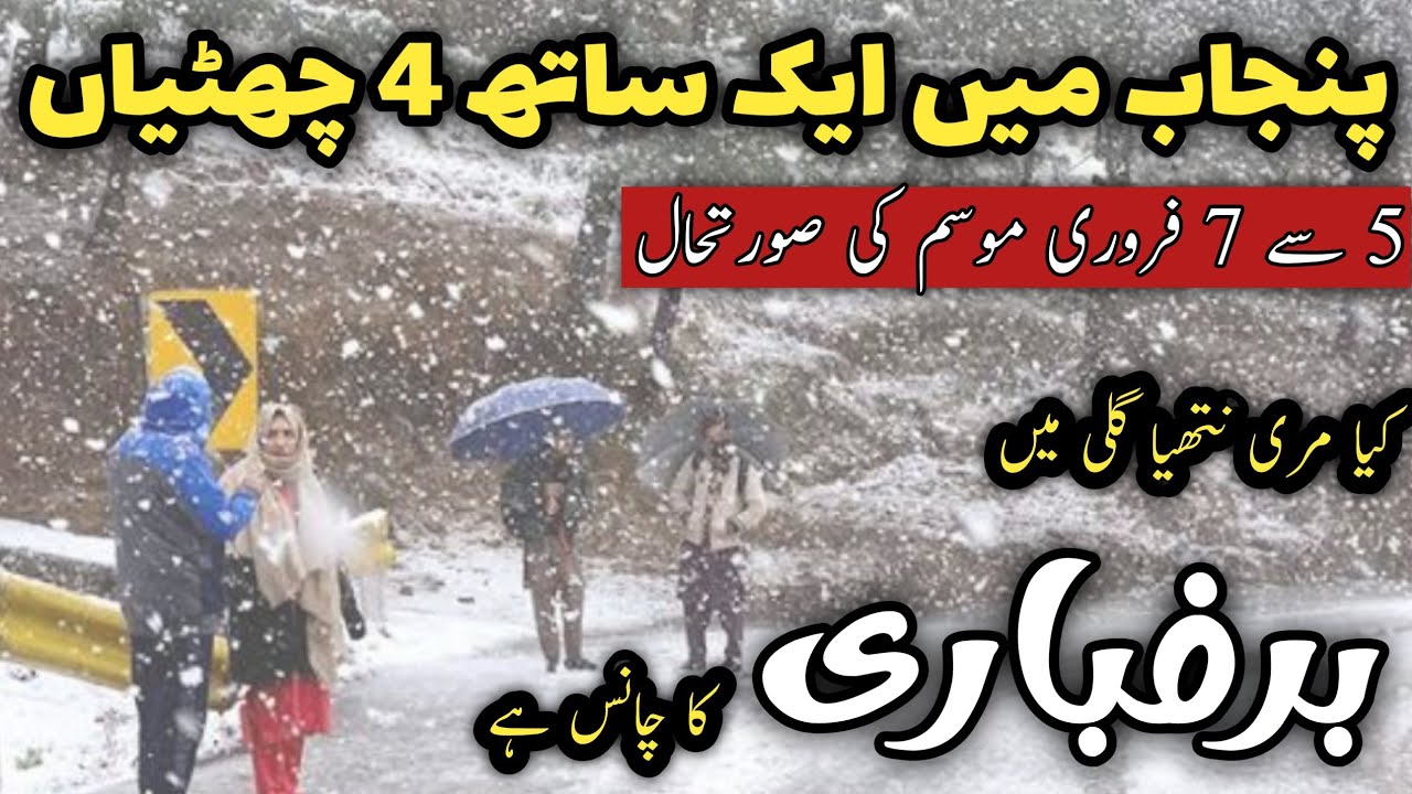 Murree #snow update | #murree live | murree nathiagali | 5 to 8 February murree weather forecast