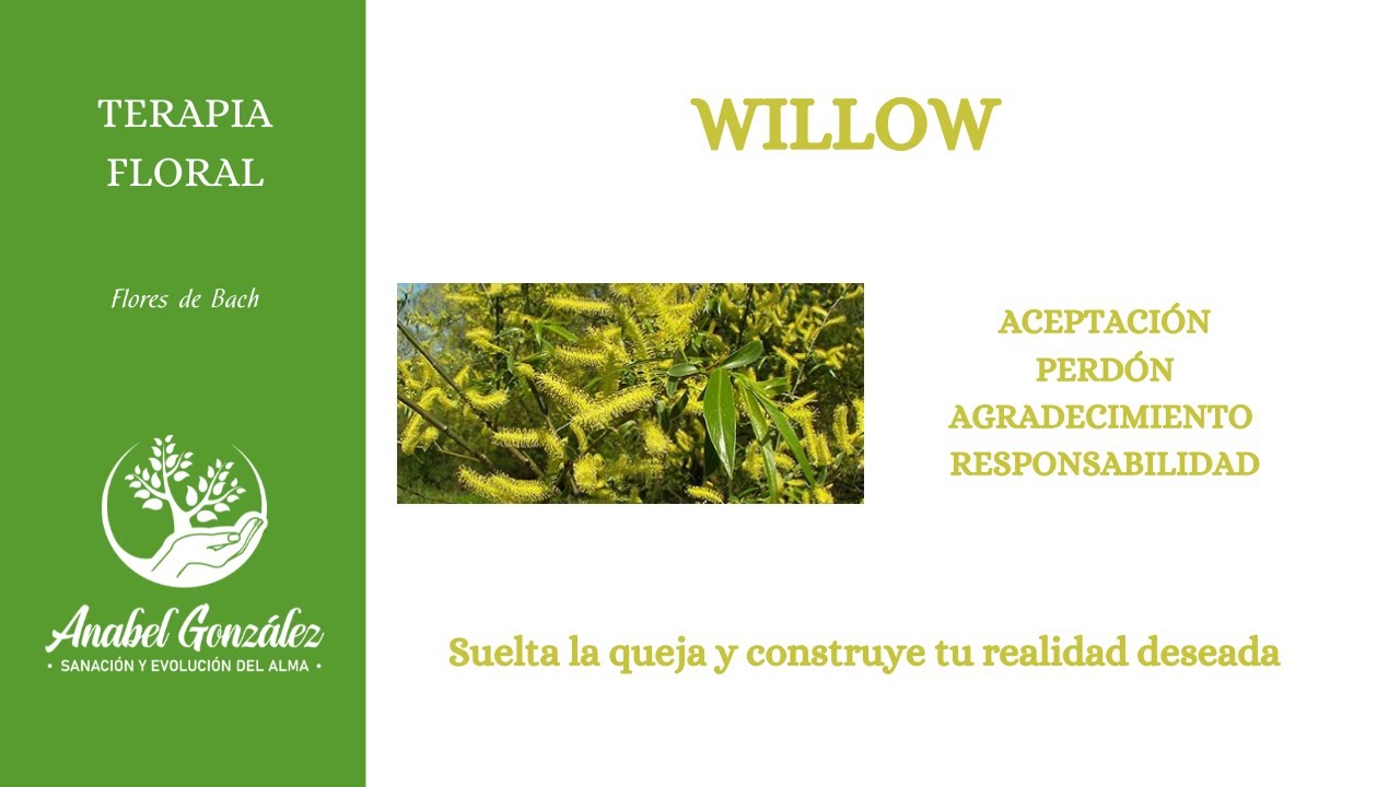 Willow, suelta la queja y construye tu realidad. Flores de Bach