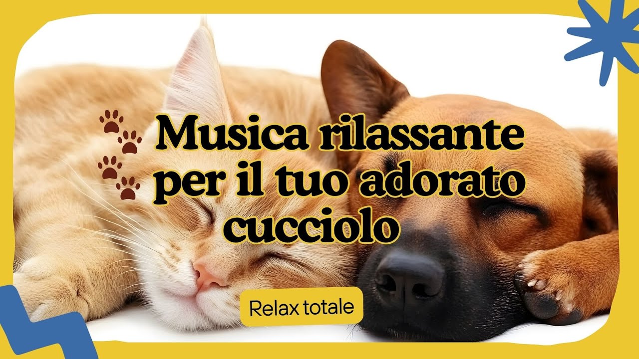 2 Ore Musica Rilassante per far dormire i Cani. Musica che calma i nostri amici pelosi