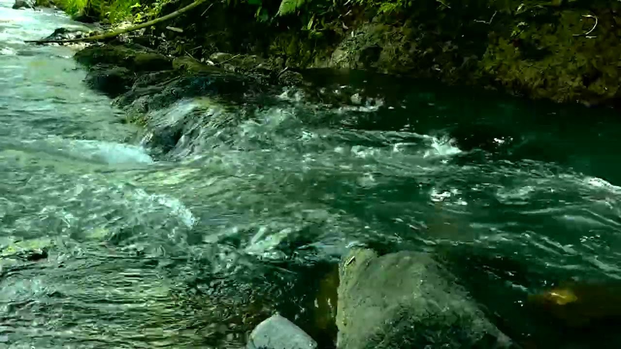 Apaga tu Mente y Duerme 😴 Relaxing River Sounds | Río Fluyendo para Relajación