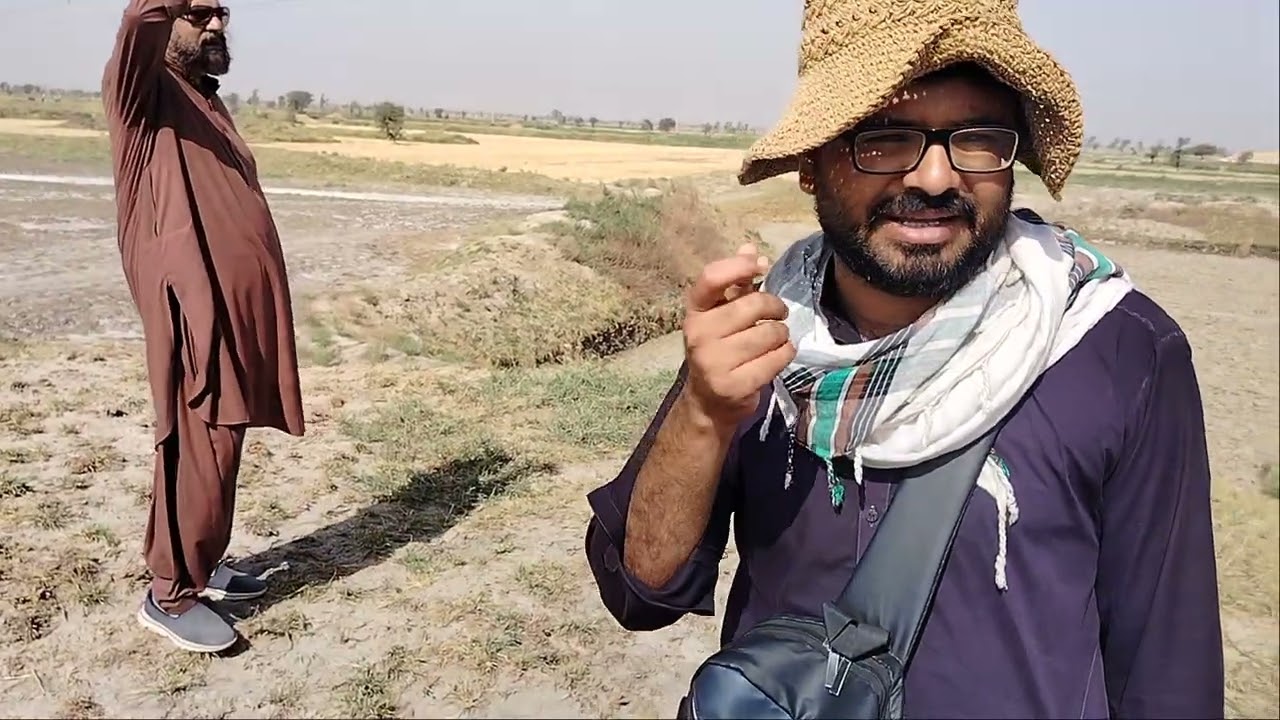 Dhamrah Jo Daro surrounding survey