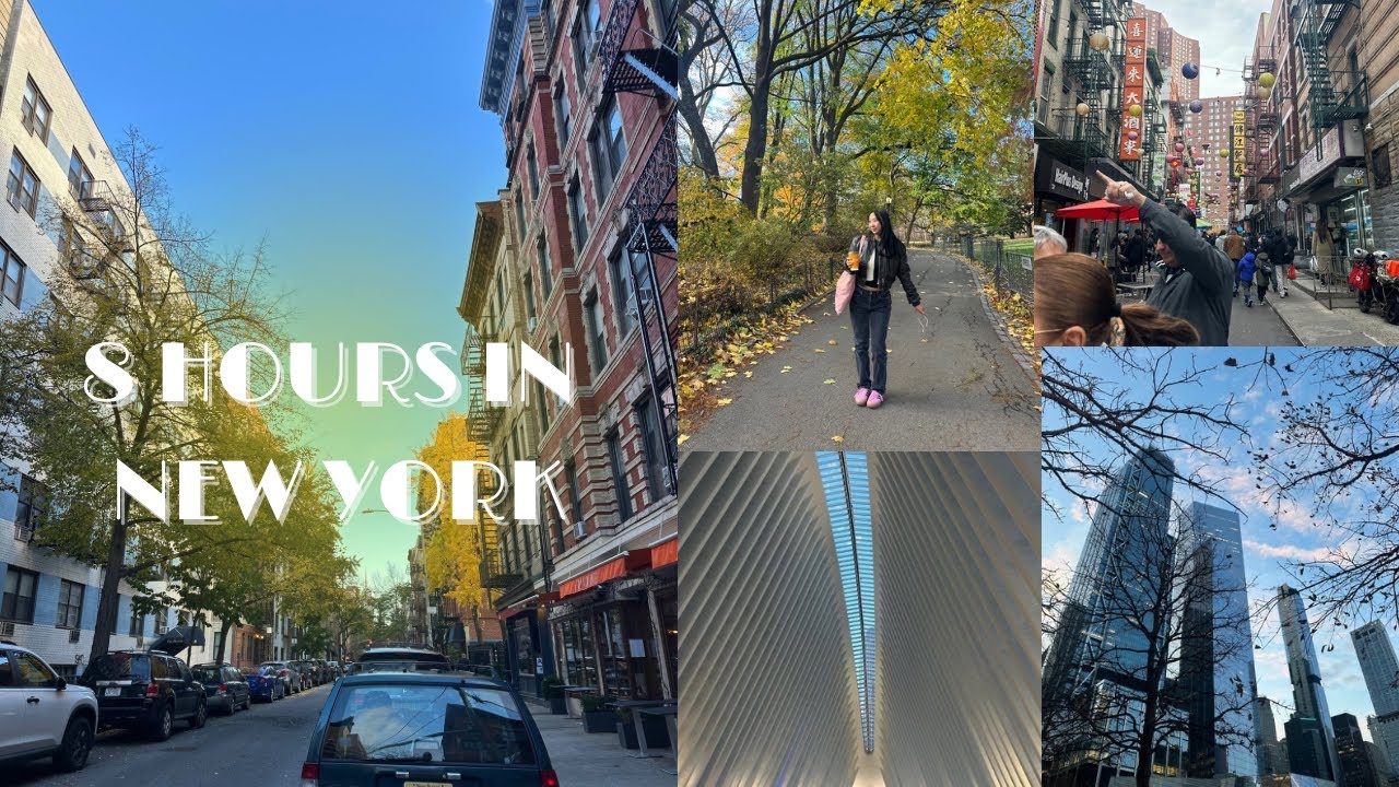 8 Hours in New York | Bakeries, Bagels, Times Square, Central Park, Chinatown, Little Italy