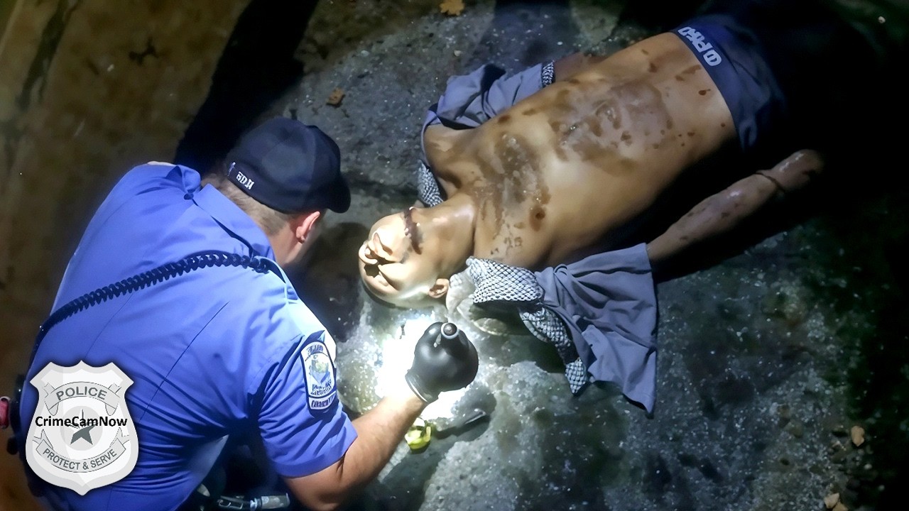 Подозреваемый в вождении в нетрезвом виде скрылся, а затем спрыгнул с моста.