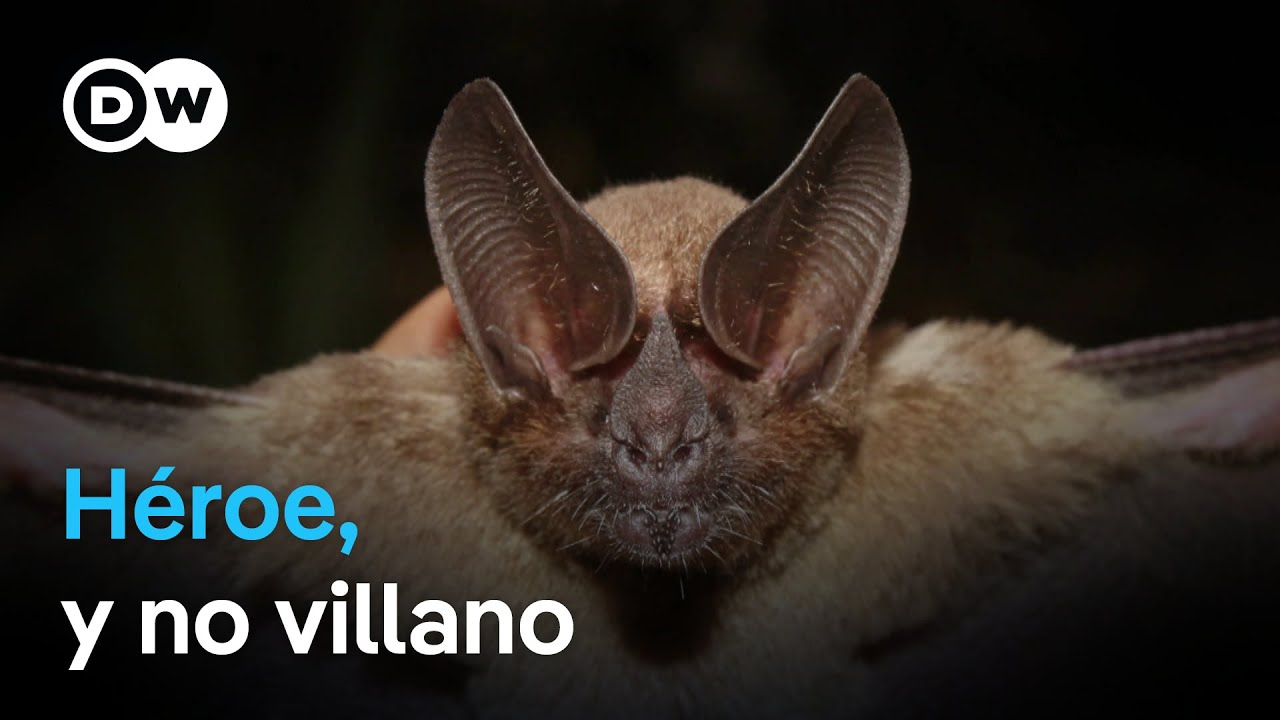 Conservaci&oacute;n de una especie estigmatizada