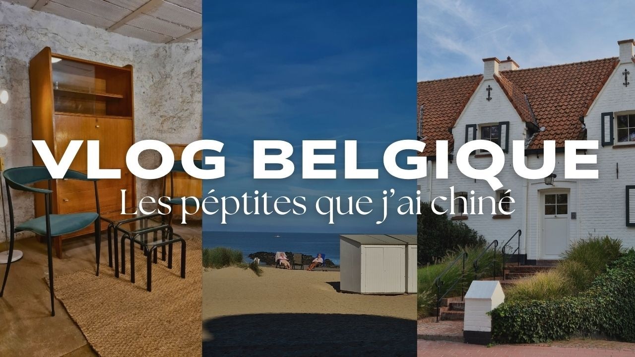Des meubles design vintage pour pas cher ?! (vlog Belgique)