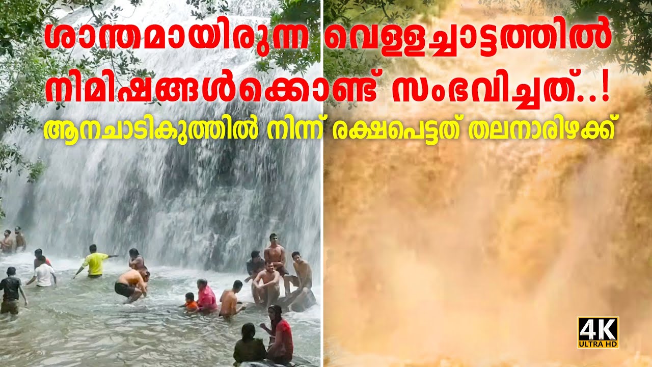 ആനചാടികുത്തിലെ മലവെള്ളപ്പാച്ചിലിൽ ഞങ്ങൾക്ക് സംഭവിച്ചത്  | Heavy rain in Kerala