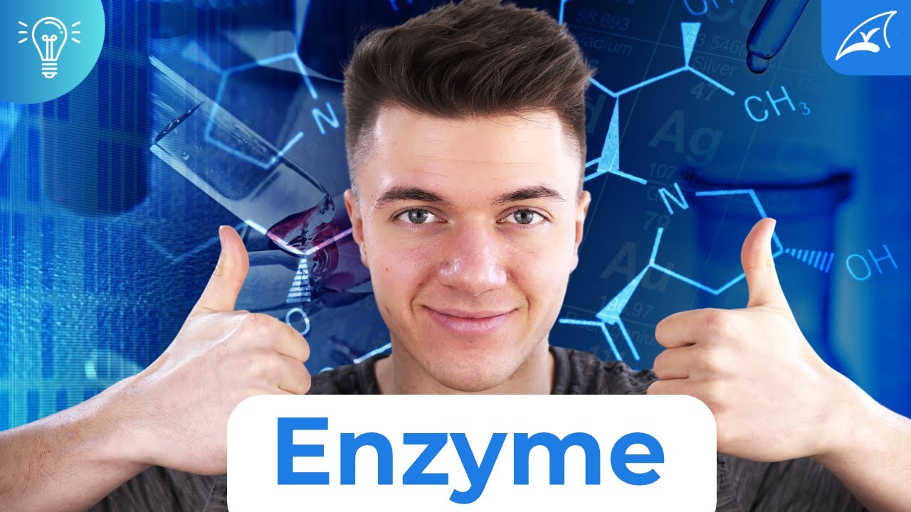 SO merkst Du dir (fast) ALLE biochemischen Enzyme!