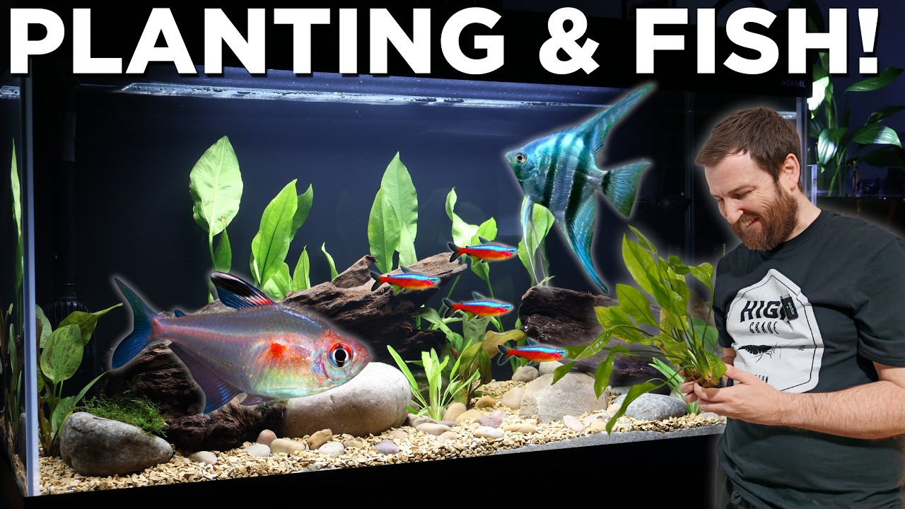 Creating My FIRST Ever Amazon Inspired Aquarium (EP2) PLANTING & FIRST FISH!