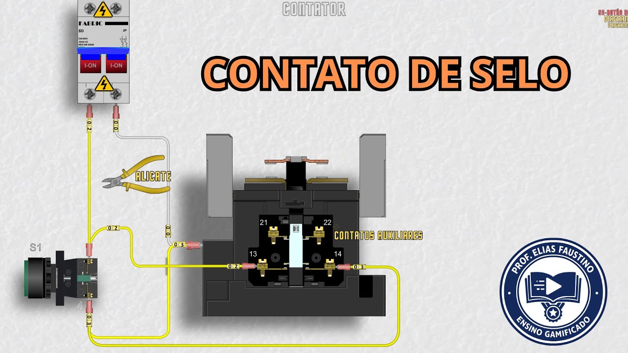Contato de Selo Explicado de Forma Ilustrada