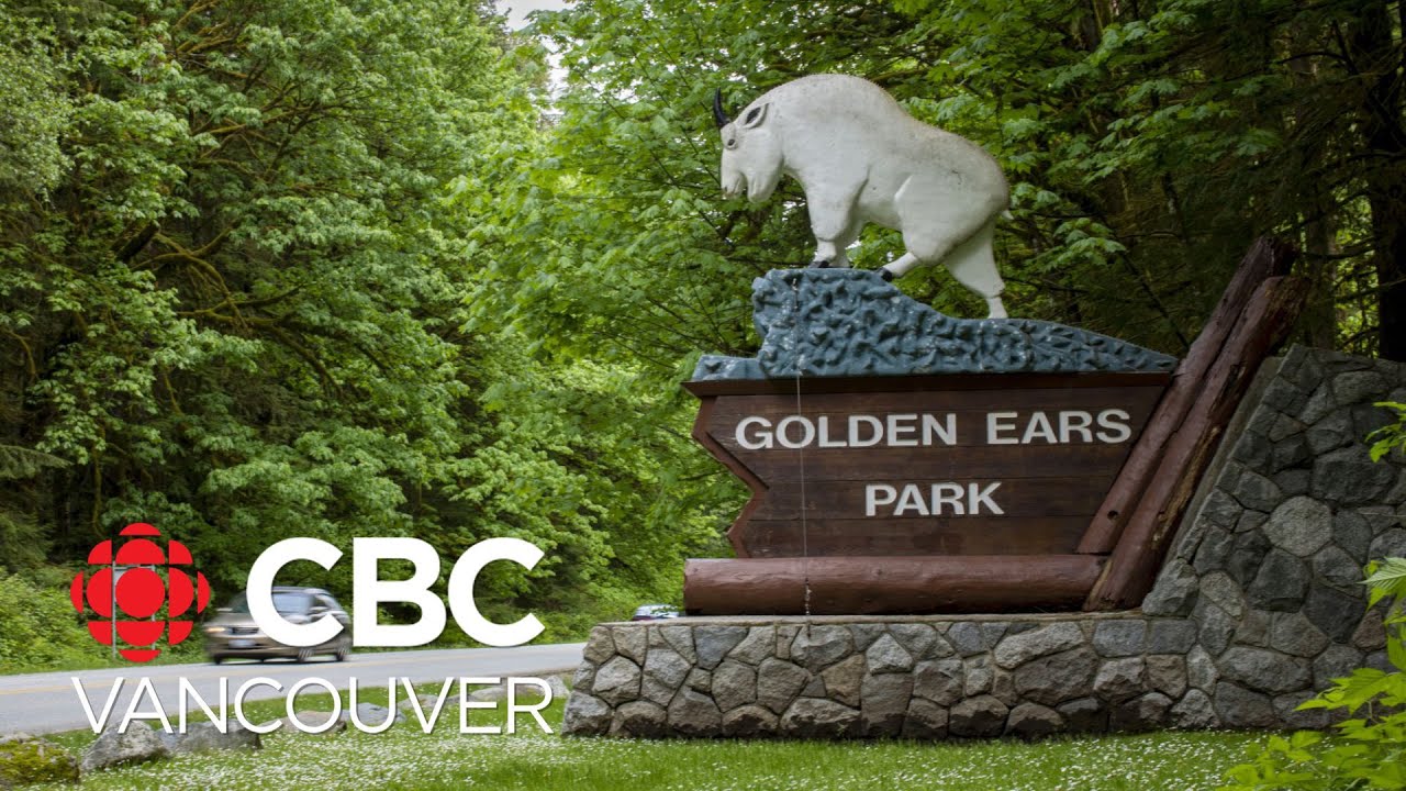 B.C. Parks reservation site crashes after 50,000 people try to book at once