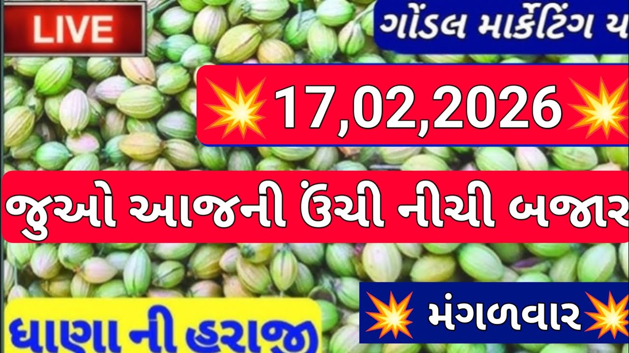 ગોંડલ નવા ધાણા ના બજાર ભાવ /નવા ધાણા ના બજાર ભાવ / આજના ધાણાના બજાર ભાવ / 17,02,2026