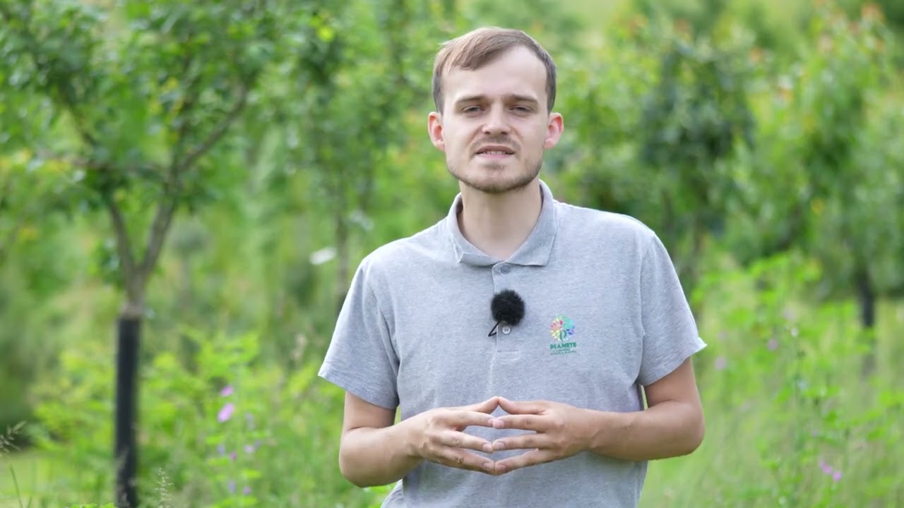 Projet BIOFRUITI (2021-2024) : la lutte contre les adventices avec le paillage