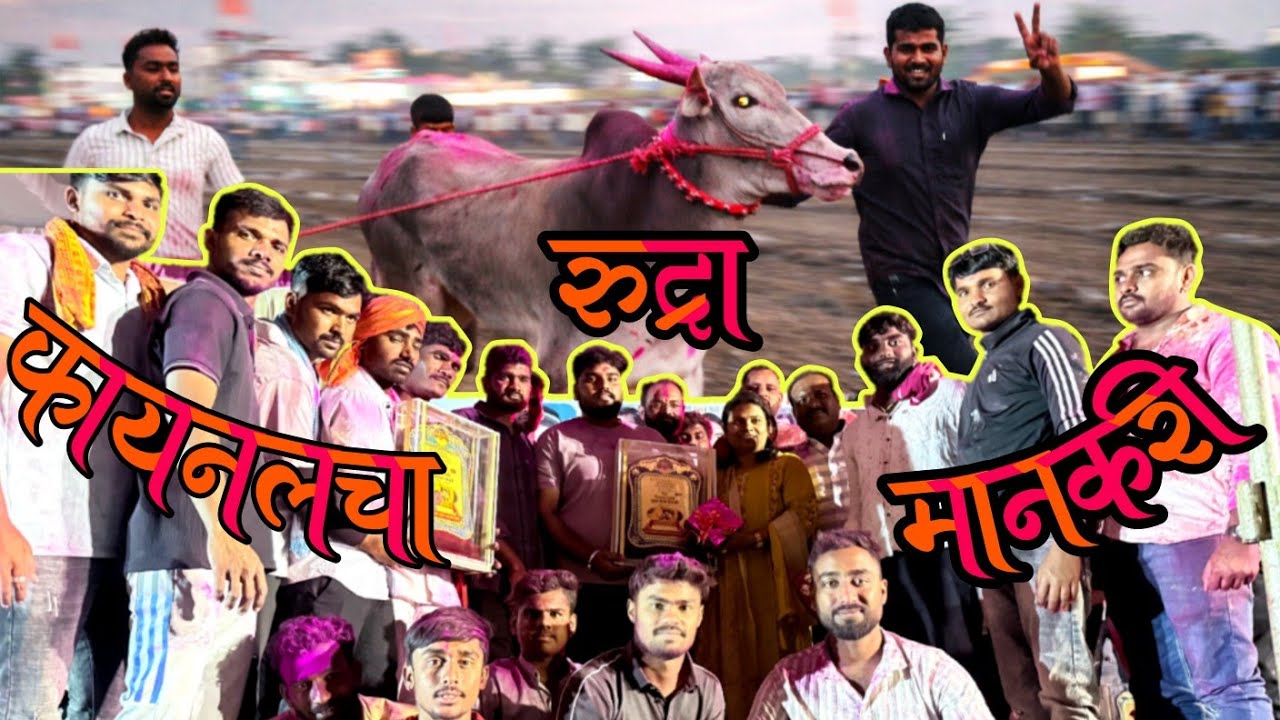 अखेर रुद्रा चा संघर्ष संपला फायनल चा मानकरी | माझी माती माझा खेळ | #bailgadasharyat #bailgadamalak