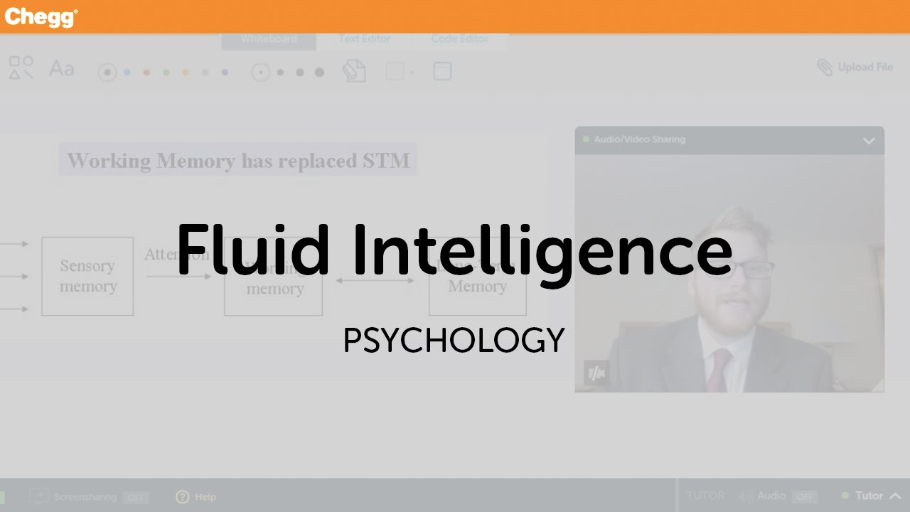 Fluid Intelligence | Psychology | Chegg Tutors