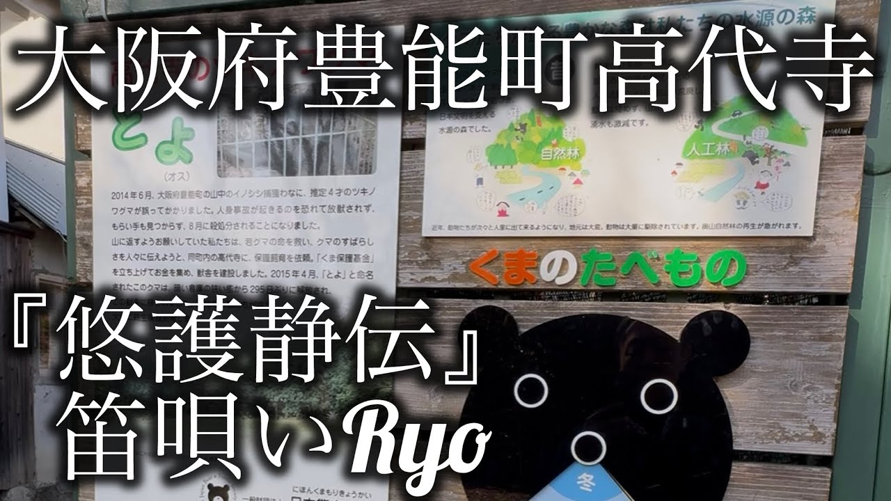 『悠護静伝』 笛唄いRyo自作曲 【2025.1.16 大阪府豊能町 高代寺 保護熊とよくん】篠笛 篠笛演奏