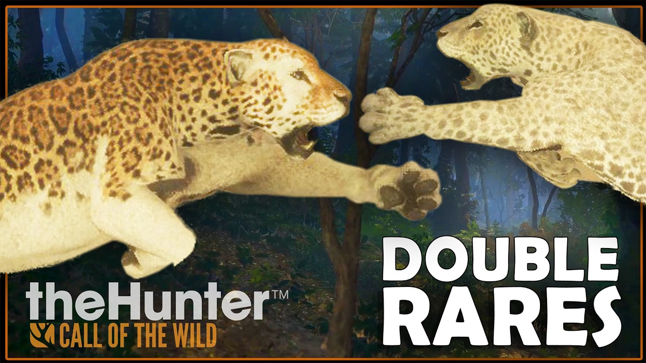 DOUBLE RARE JAGUARS & NEW Great One Jaguar Grinding STRATEGY!