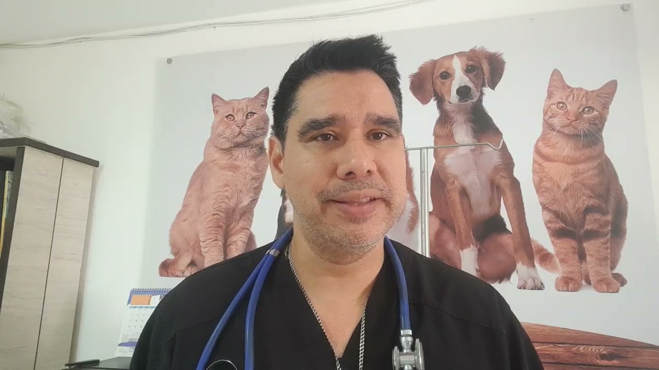 ¿ Como saber si tu mascota esta emocionalmente bien?