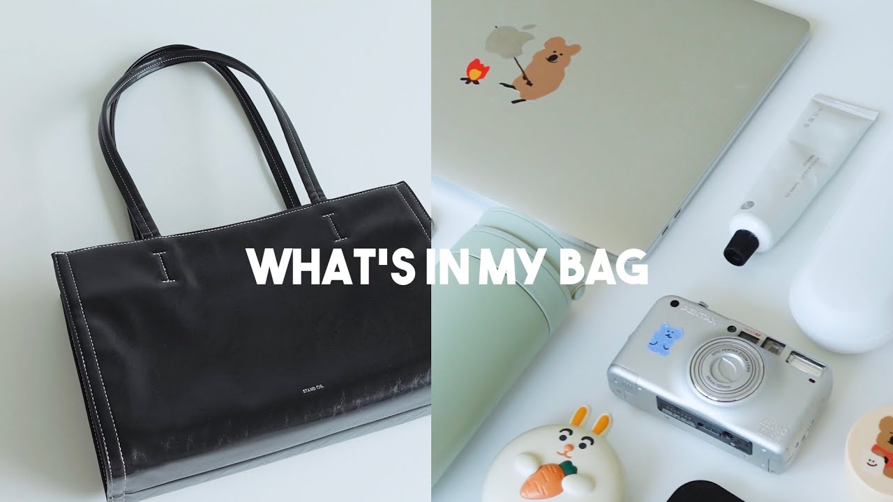 WHAT'S IN MY BAG?👜브이로그 유튜버의 가방 속 데일리 아이템 털기 (스탠드오일 오블롱백, 립밤, 카드지갑, 향수, 삼각대 etc.)