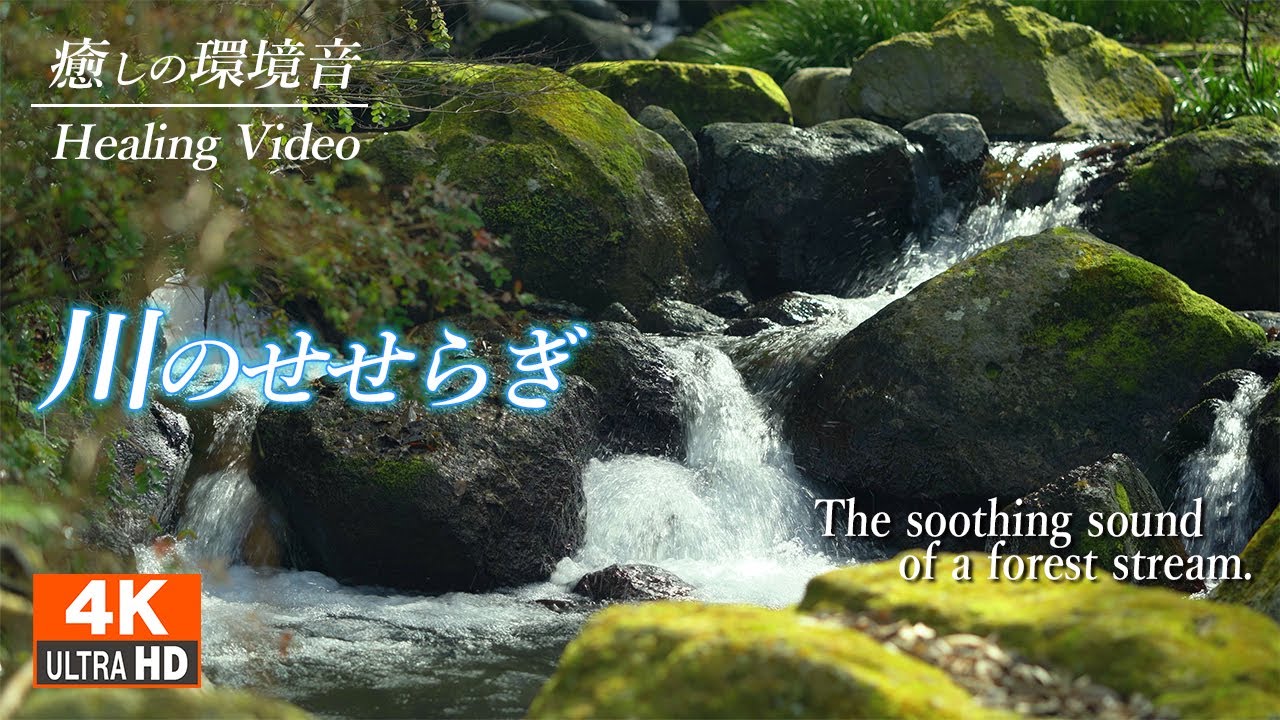 癒しの音・川のせせらぎ/疲れた心身のリラックス - 自然環境音 睡眠を誘う ホワイトノイズ 3時間