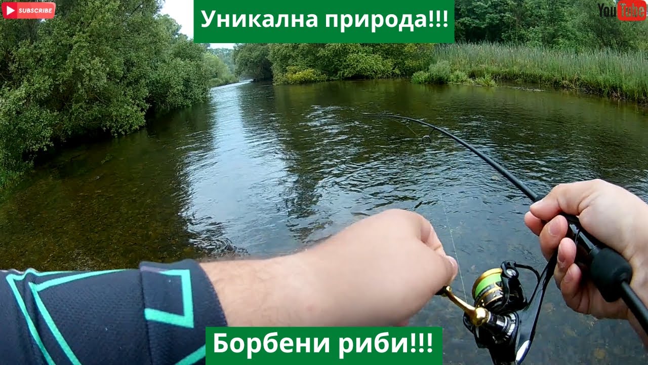 Уникална красота!!! Кефали по р. Тунджа...