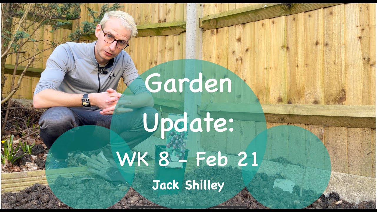 Jostaberry & Daphne! | Garden Update - WK 8 - February 2021 | Jack Shilley