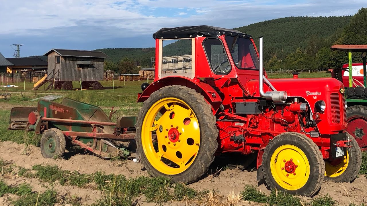 Kartoffeln roden 2023 Wühlmaus T3 Famulus