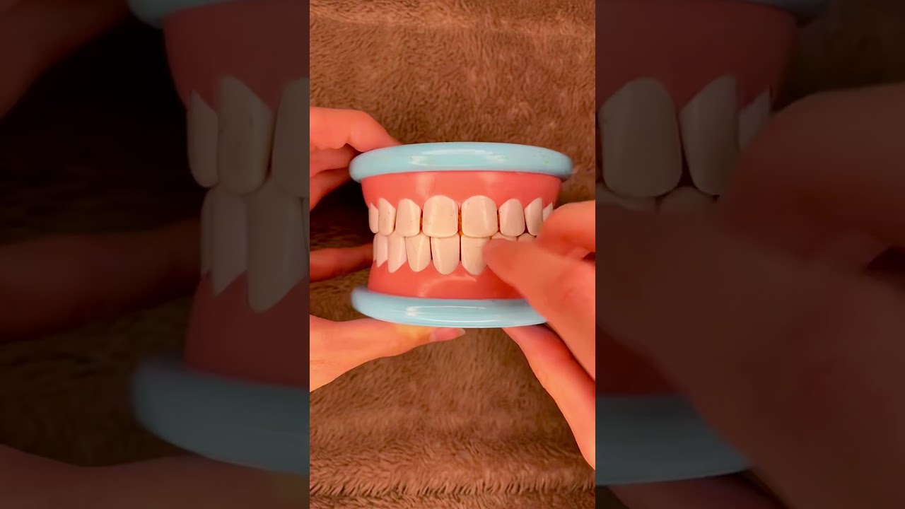 Good Boy ASMR