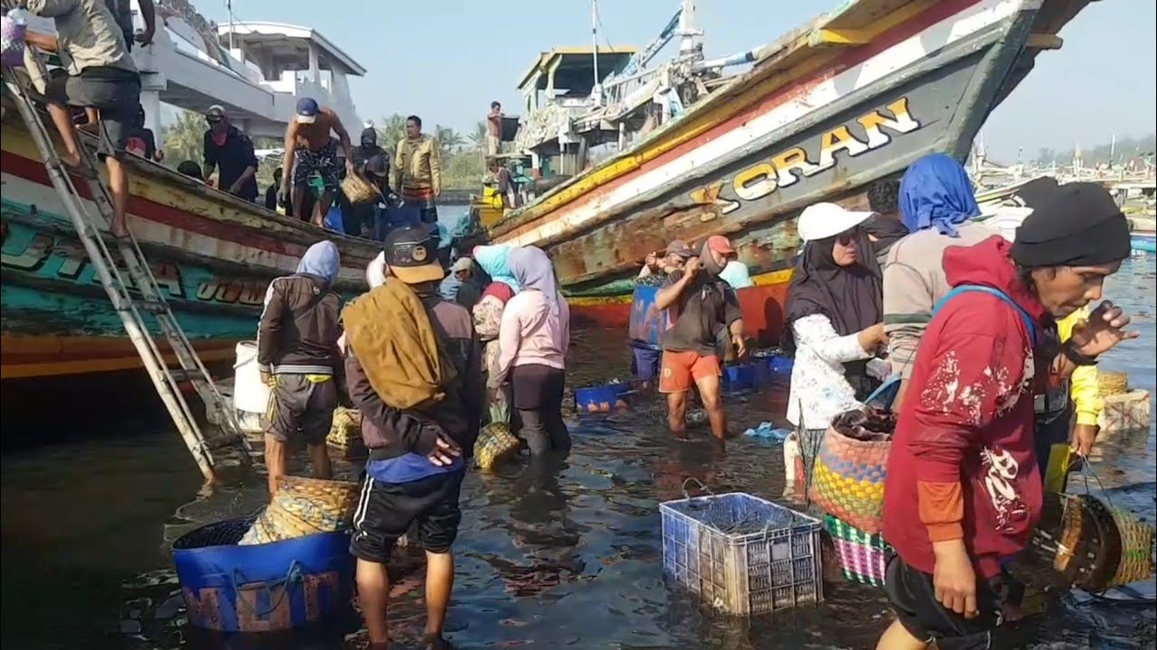 TPI PUGER BELI IKAN LAUT SEGAR ABK LEBIH MURAH